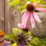 Phytoceuticals