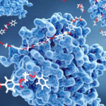 Enzymes