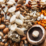 Mushroom Extracts