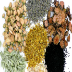 Herbs Seeds